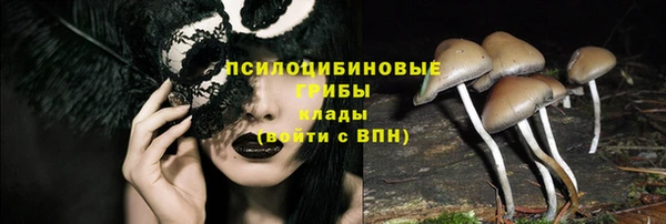 спиды Алексин