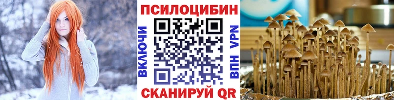 продажа наркотиков Аргун OMG зеркало Галлюциногенные грибы мицелий