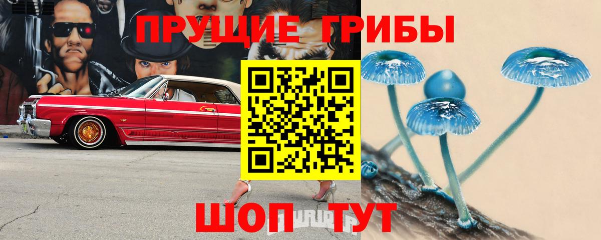 Галлюциногенные грибы прущие грибы Аргун