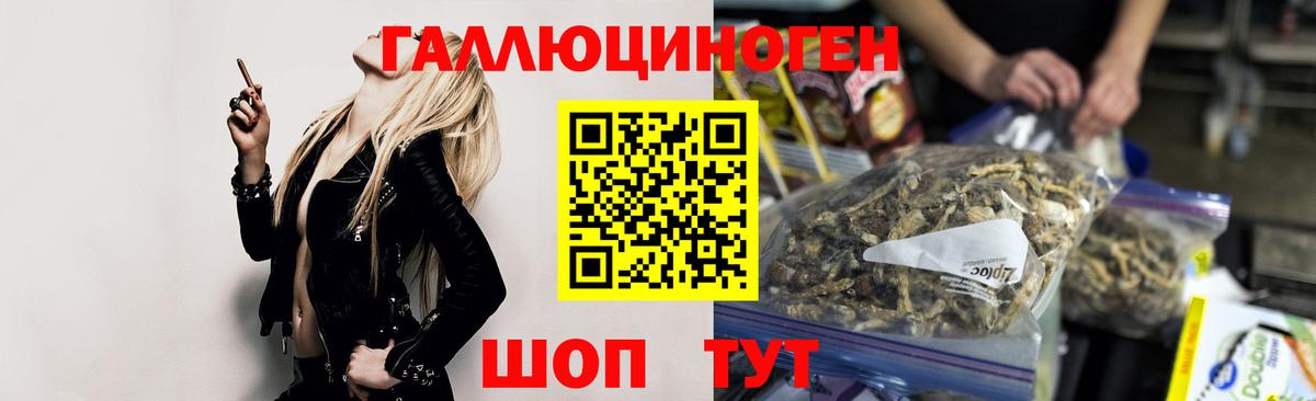 Псилоцибиновые грибы мицелий  Вход с VPN  Аргун 
