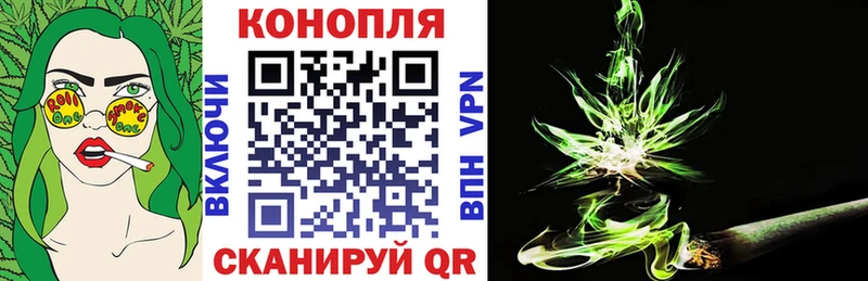 где купить наркотик  Аргун  Бошки марихуана THC 21% 